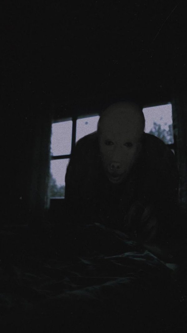 Scary Finds (18 pics)