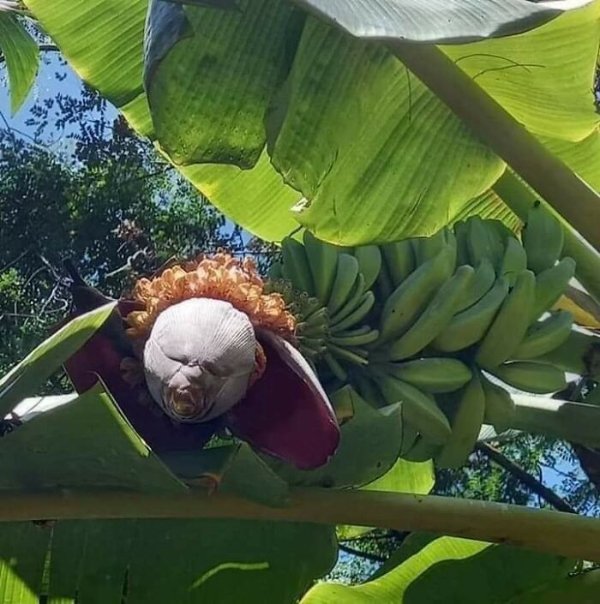 Scary Finds (18 pics)