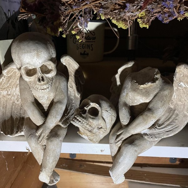 Scary Finds (18 pics)