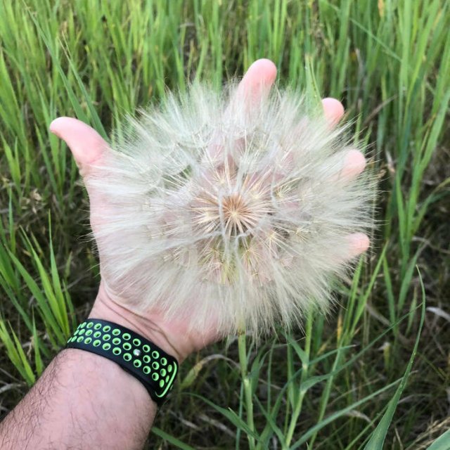 Unusual Finds (15 pics)