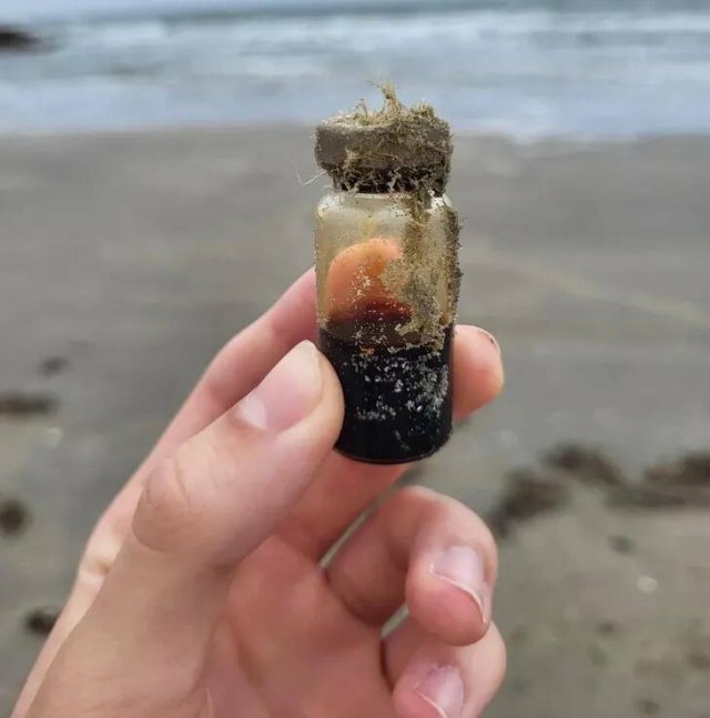 Unusual Finds (15 pics)