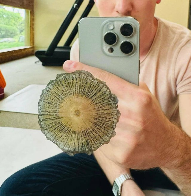 Unusual Finds (15 pics)