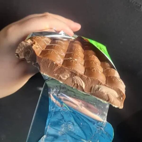 Unusual Finds (15 pics)
