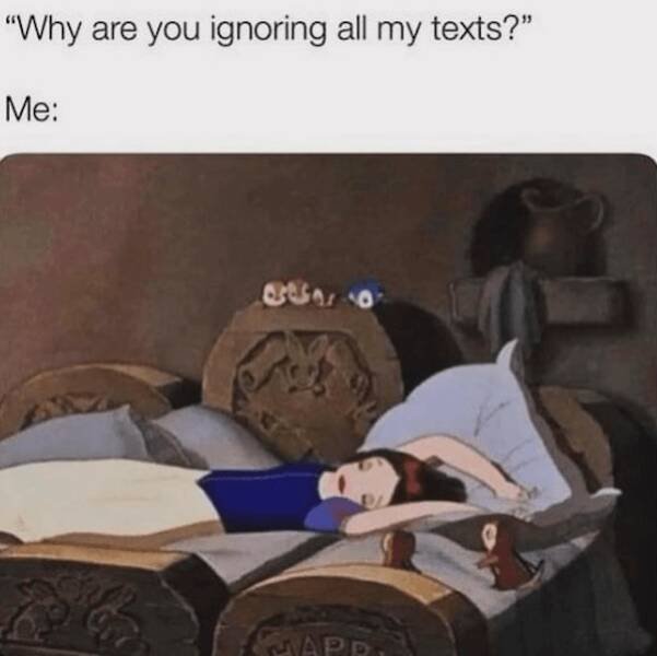 Memes For Introverts (24 pics)
