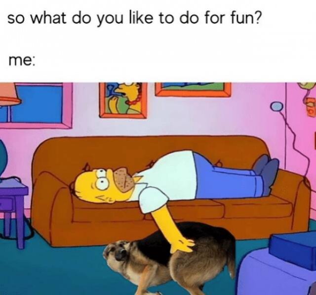 Memes For Introverts (24 pics)