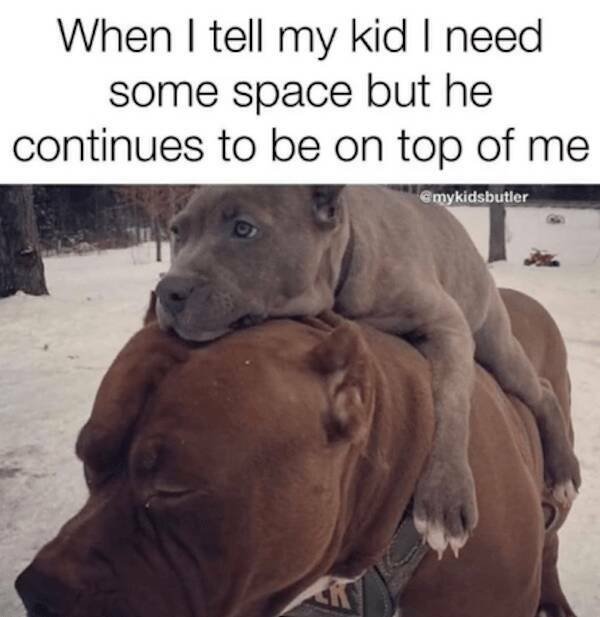 Parent Jokes (21 pics)