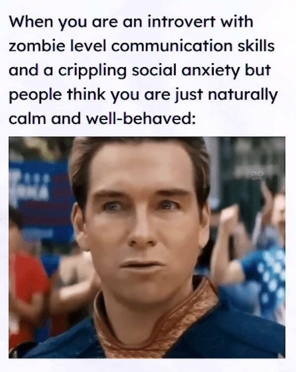 Memes For Introverts (24 pics)