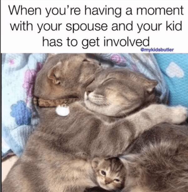Parent Jokes (21 pics)