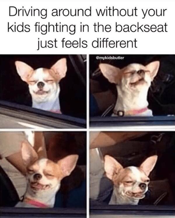 Parent Jokes (21 pics)