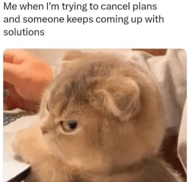 Memes For Introverts (24 pics)