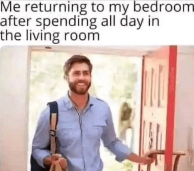 Memes For Introverts (24 pics)