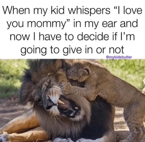 Parent Jokes (21 pics)
