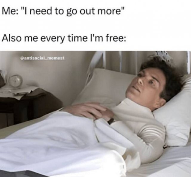 Memes For Introverts (24 pics)