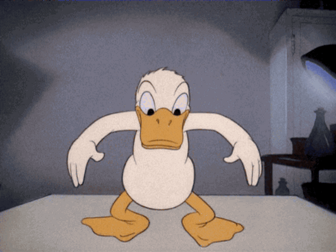 Random Facts (15 gifs)