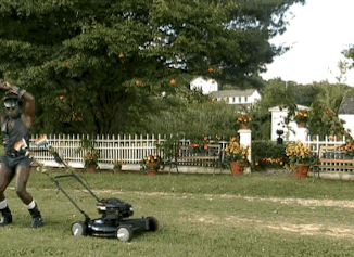Interesting Thoughts (15 gifs)