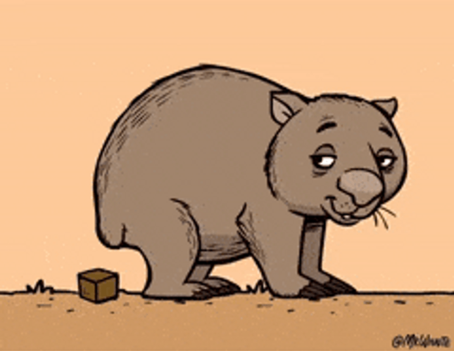 Random Facts (15 gifs)