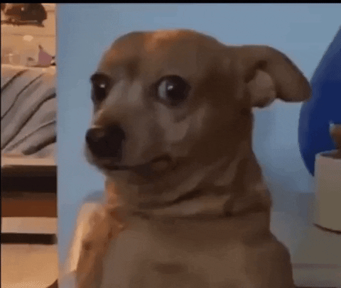 Interesting Thoughts (15 gifs)