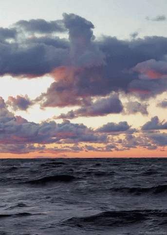 Random Facts (15 gifs)