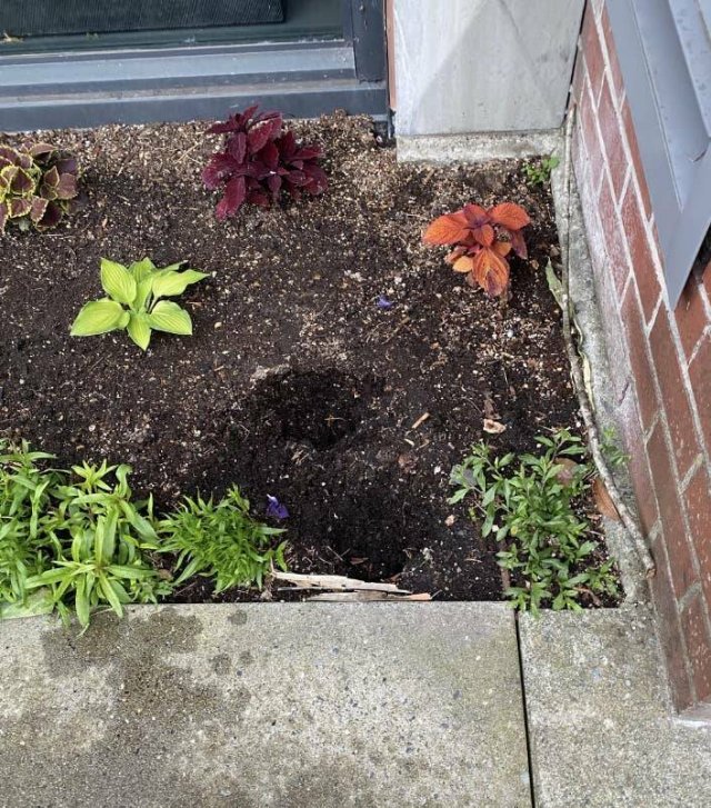 Annoying Finds And Situations (15 pics)