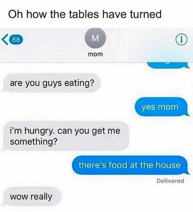 Family Memes (25 pics)