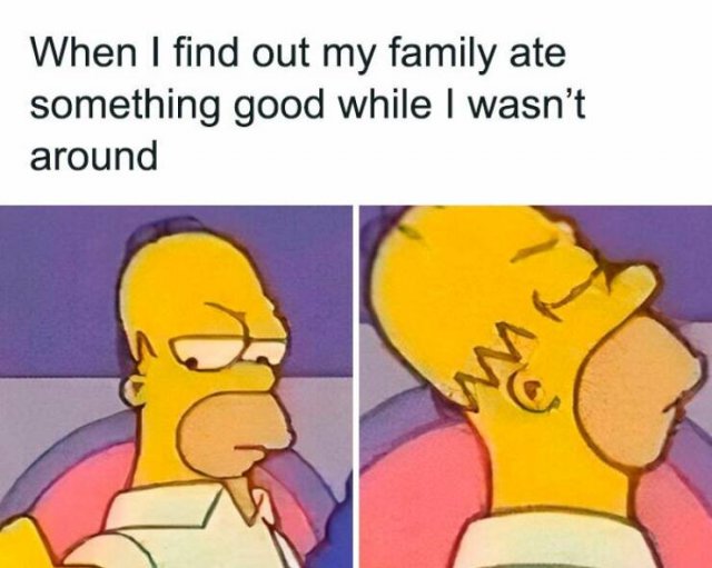 Family Memes (25 pics)