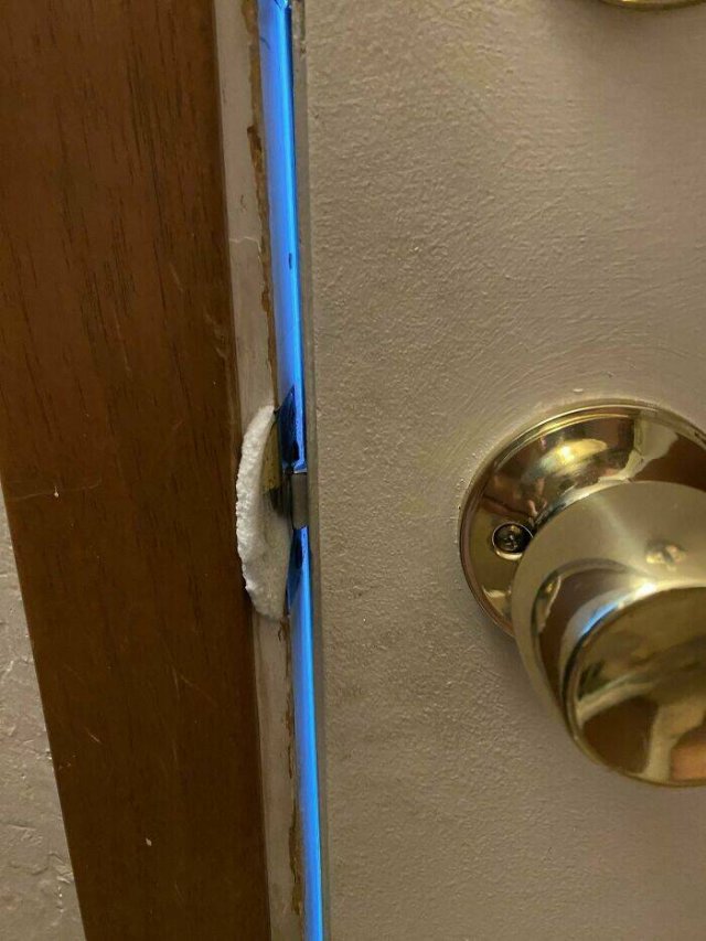 Awful Landlords (24 pics)