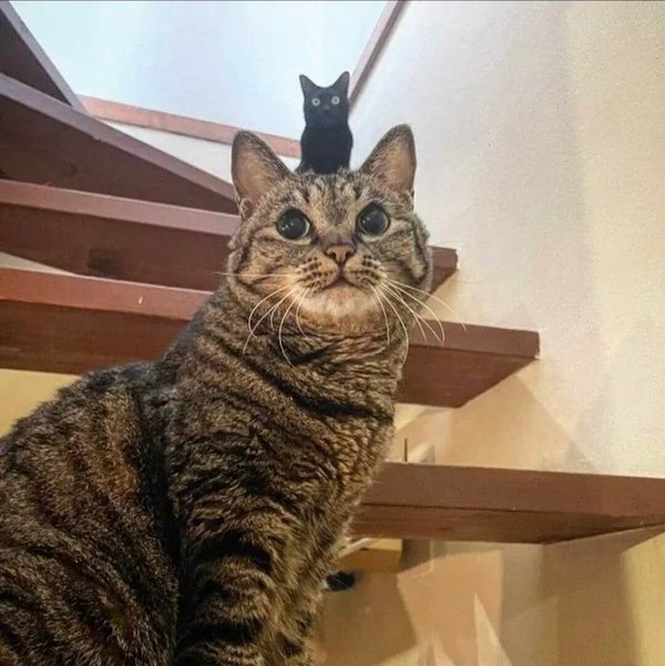 Right Moment (21 pics)