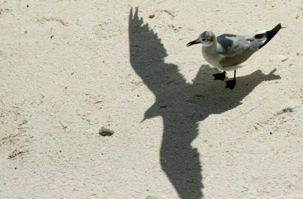 Right Moment (21 pics)