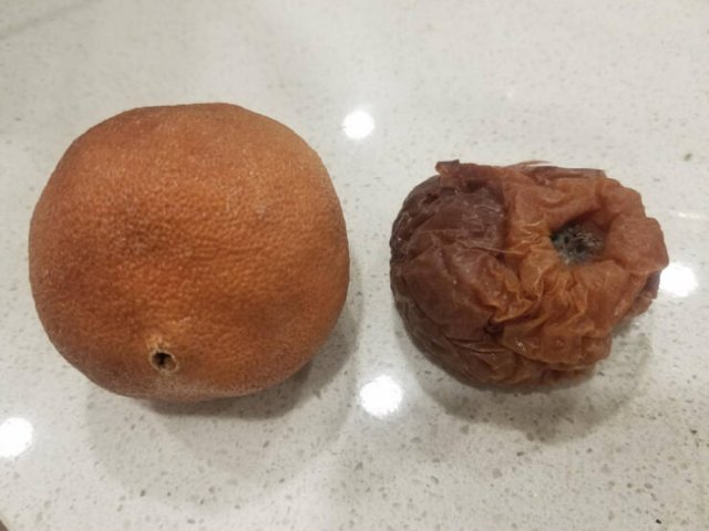 Unusual Finds (15 pics)
