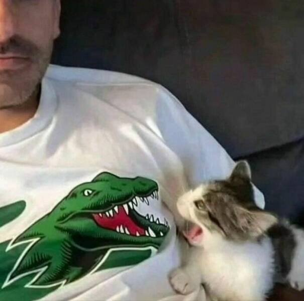 Weird Finds (28 pics)