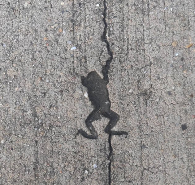 Unusual Finds (15 pics)