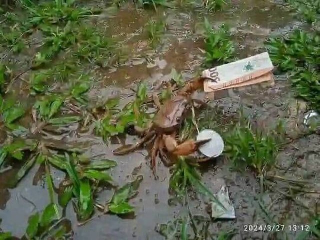 Weird Finds (28 pics)