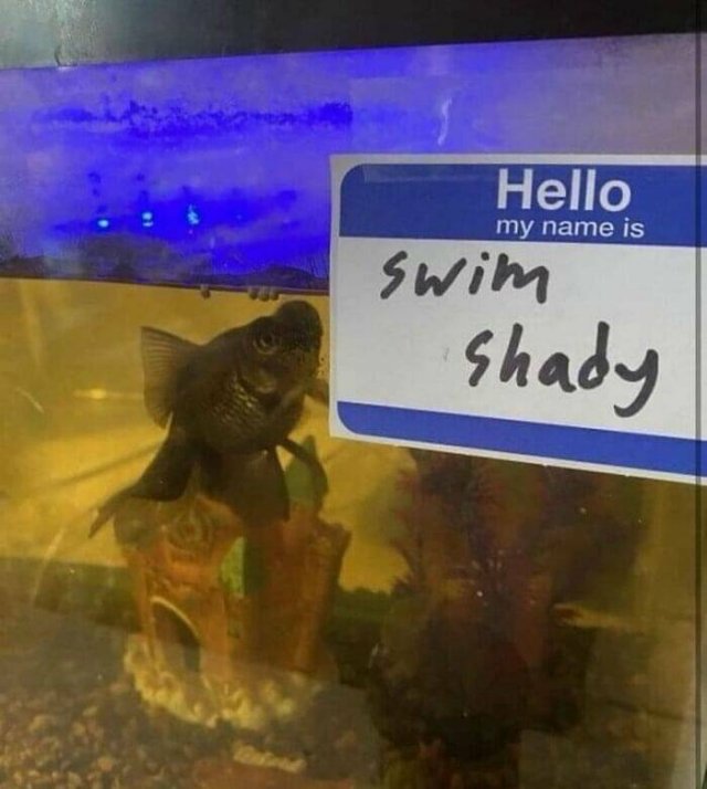 Weird Finds (28 pics)