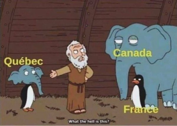 Canadian Memes (20 pics)