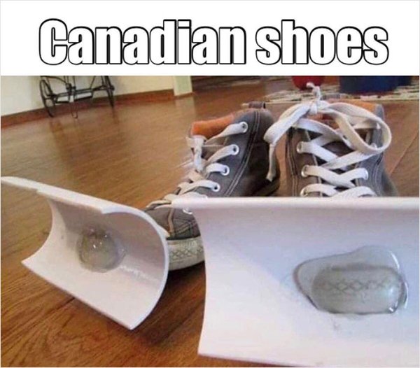 Canadian Memes (20 pics)