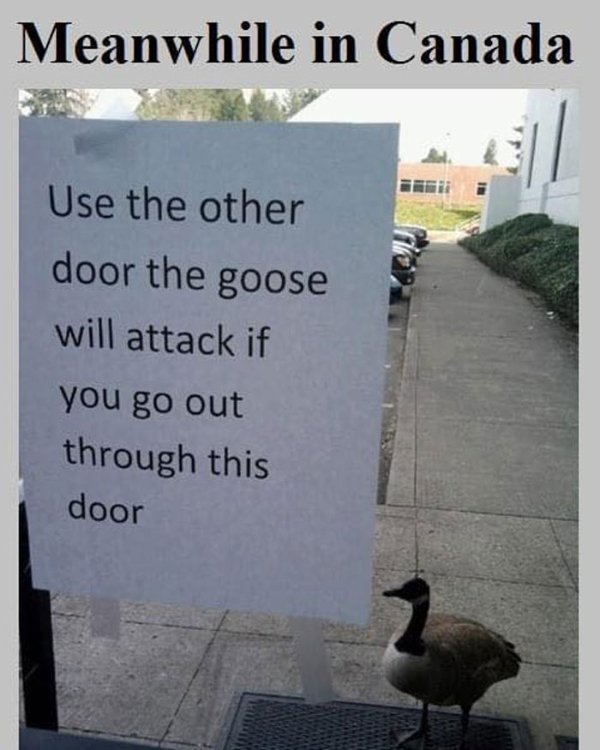 Canadian Memes (20 pics)