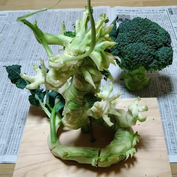 Strange Dishes (30 pics)