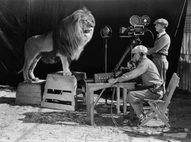 Rare Historical Photos (22 pics)
