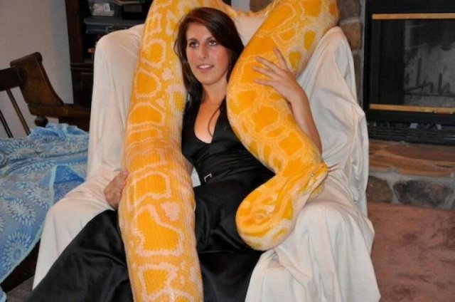 Giant Things (18 pics)