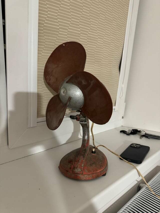 Interesting Finds (20 pics)