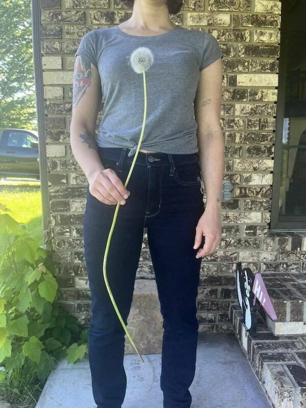 Giant Things (18 pics)