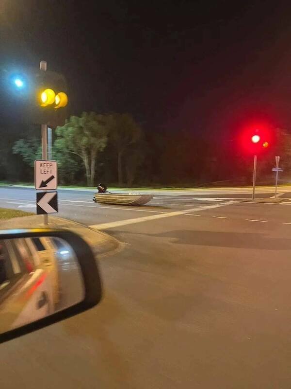 What Is Going On Here? (19 pics)