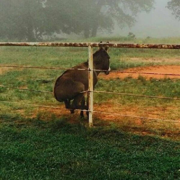 What Is Going On Here? (19 pics)