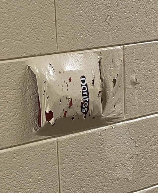 What Is Going On Here? (19 pics)