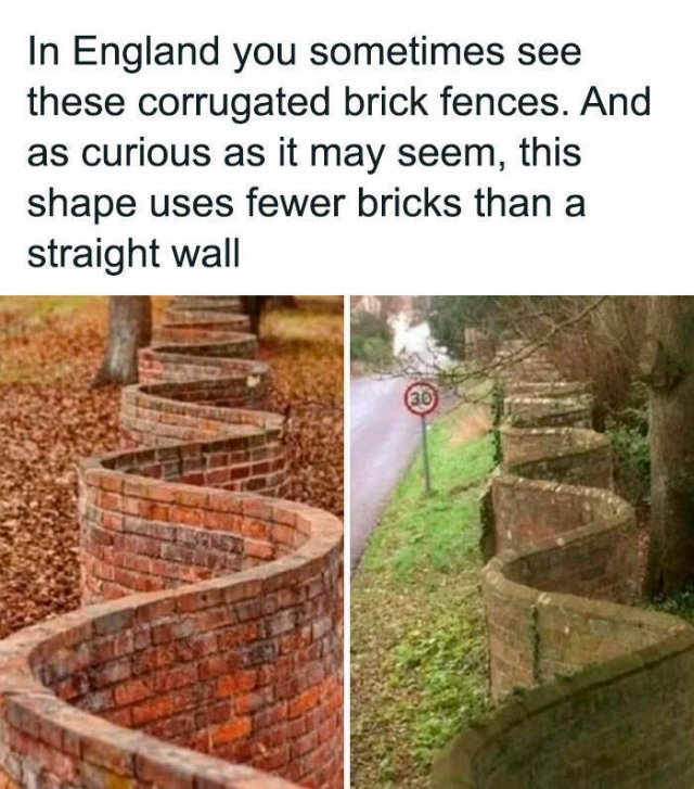 Random Facts (26 pics)