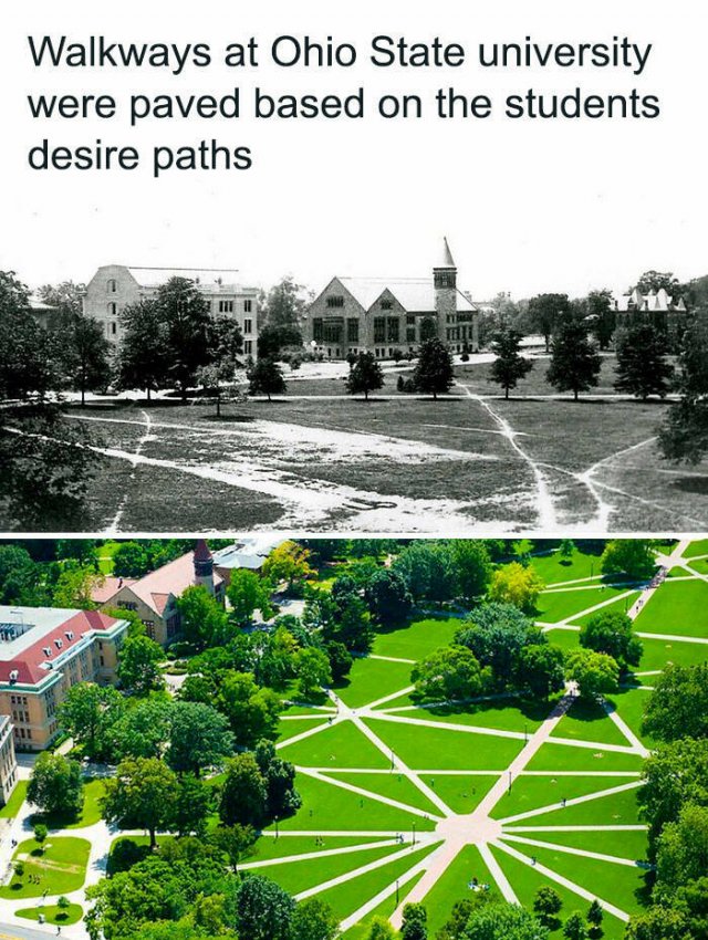 Random Facts (26 pics)