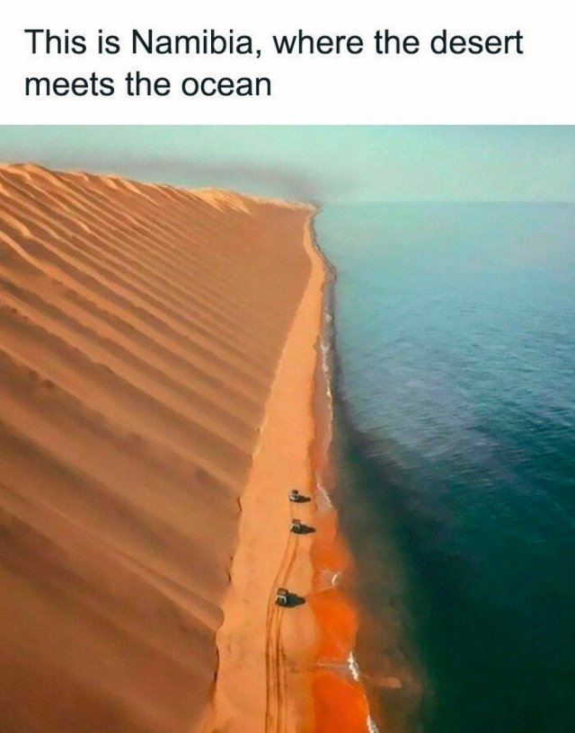 Random Facts (26 pics)