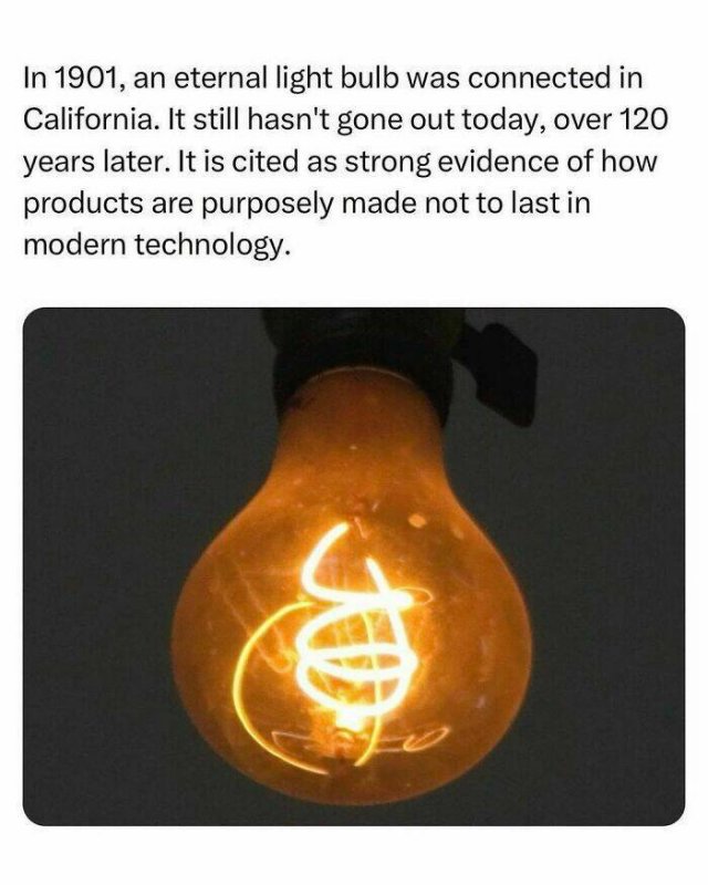 Random Facts (26 pics)