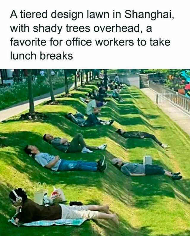 Random Facts (26 pics)