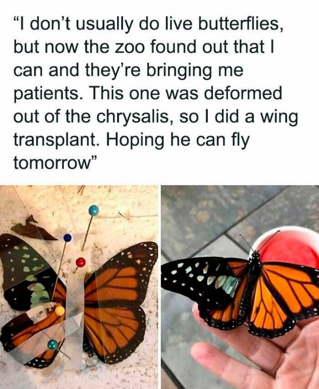 Random Facts (26 pics)